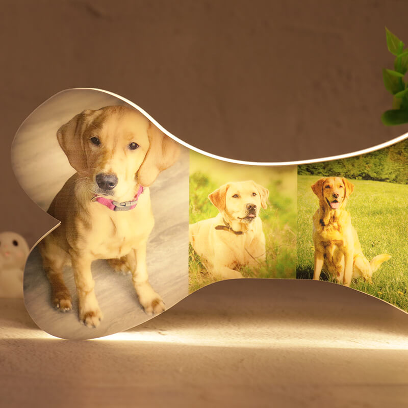 Personalisierte Knochen-Fotocollagenlampe