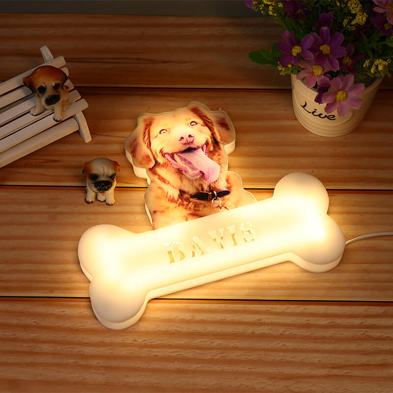 Personalisierte Haustier Foto Lampe