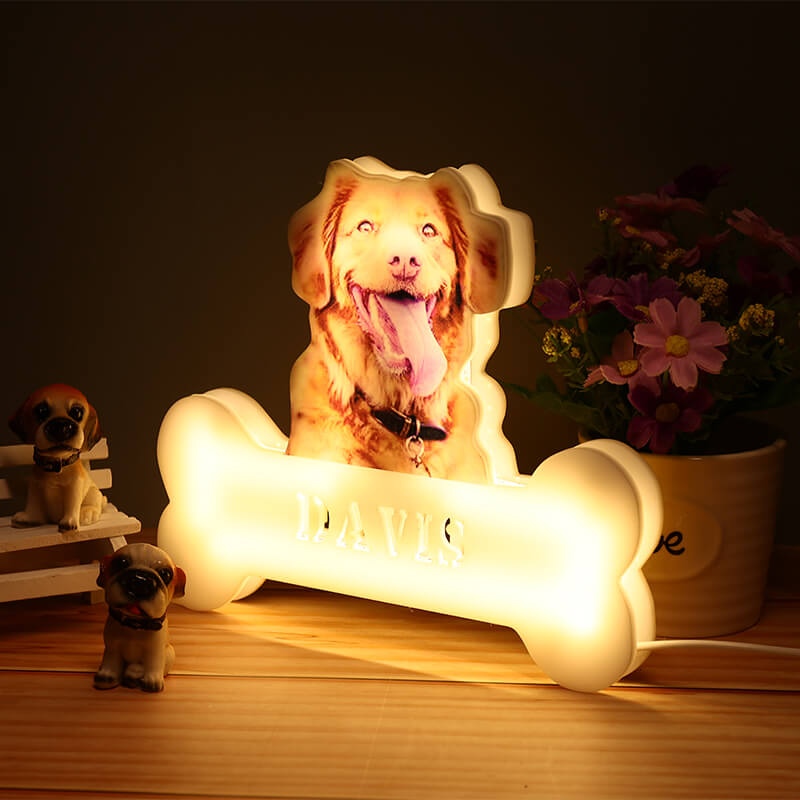 Personalisierte Haustier Foto Lampe