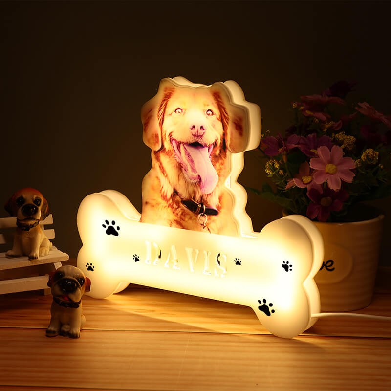 Personalisierte Haustier Foto Lampe